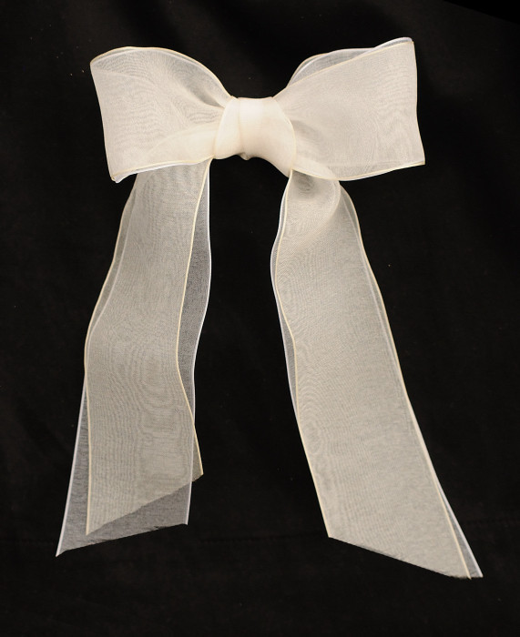 A_22 de organza adornos calzado, shoe