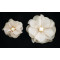 flor de gasa con piedra blanca central_shoe clip