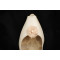 flor de gasa pequeña con piedra blanca central_shoe clip
